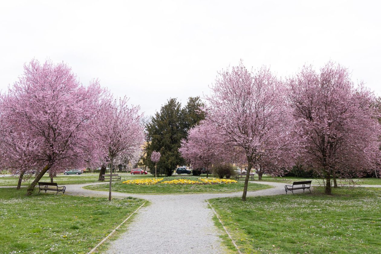 Proljeće u Parku kralja Petra Krešimira IV