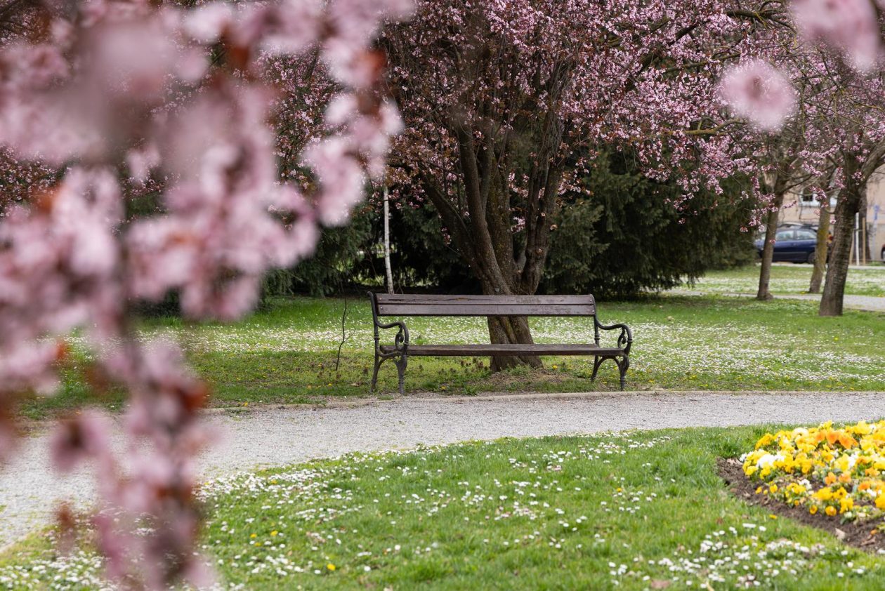 Proljeće u Parku kralja Petra Krešimira IV