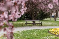 Proljeće u Parku kralja Petra Krešimira IV