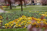 Proljeće u Parku kralja Petra Krešimira IV