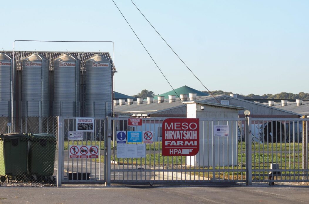 farma sokolovac belje farma sokolovac belje