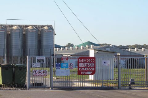 farma sokolovac belje