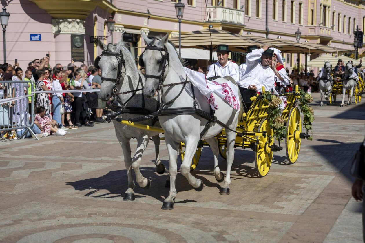 60. Vinkovačke jeseni – svačani mimohod 60. Vinkovačke jeseni – svačani mimohod