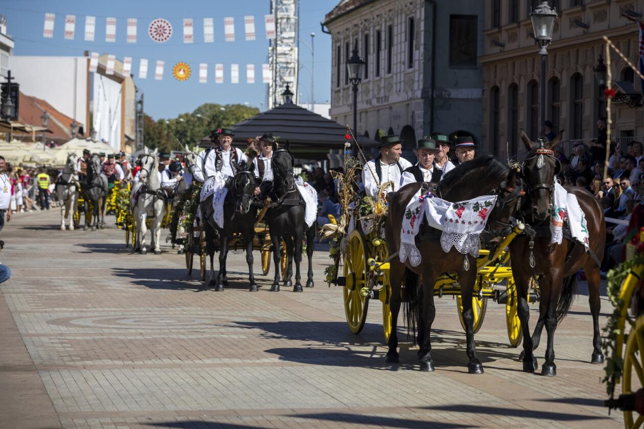 60. Vinkovačke jeseni – svačani mimohod 60. Vinkovačke jeseni – svačani mimohod