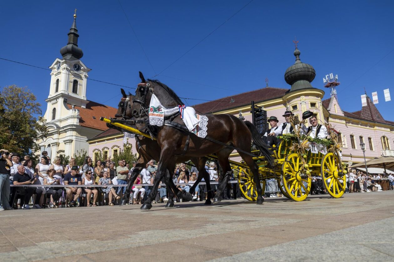 60. Vinkovačke jeseni – svačani mimohod 60. Vinkovačke jeseni – svačani mimohod