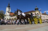 60. Vinkovačke jeseni – svačani mimohod 60. Vinkovačke jeseni – svačani mimohod