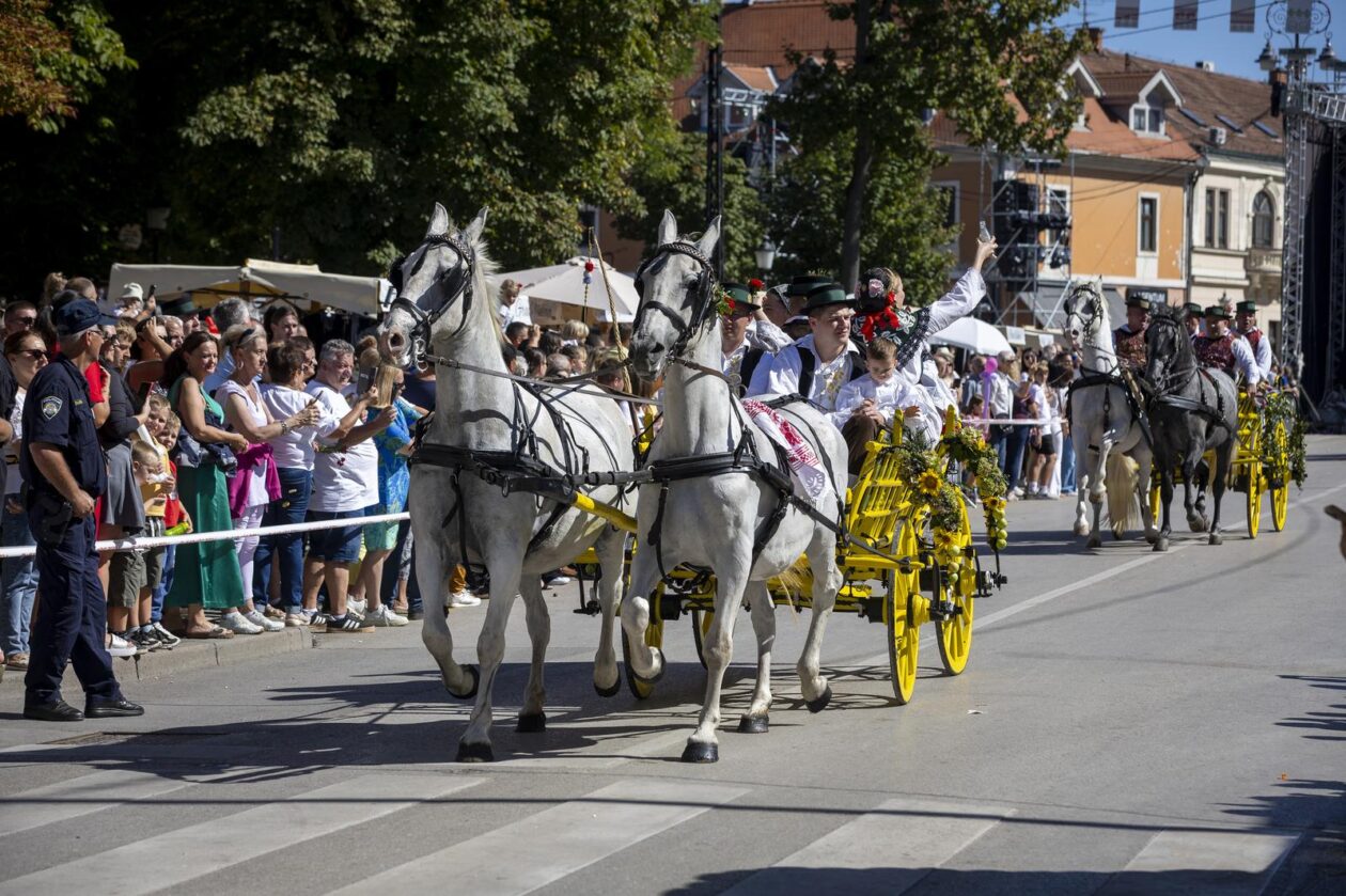 60. Vinkovačke jeseni – svačani mimohod 60. Vinkovačke jeseni – svačani mimohod