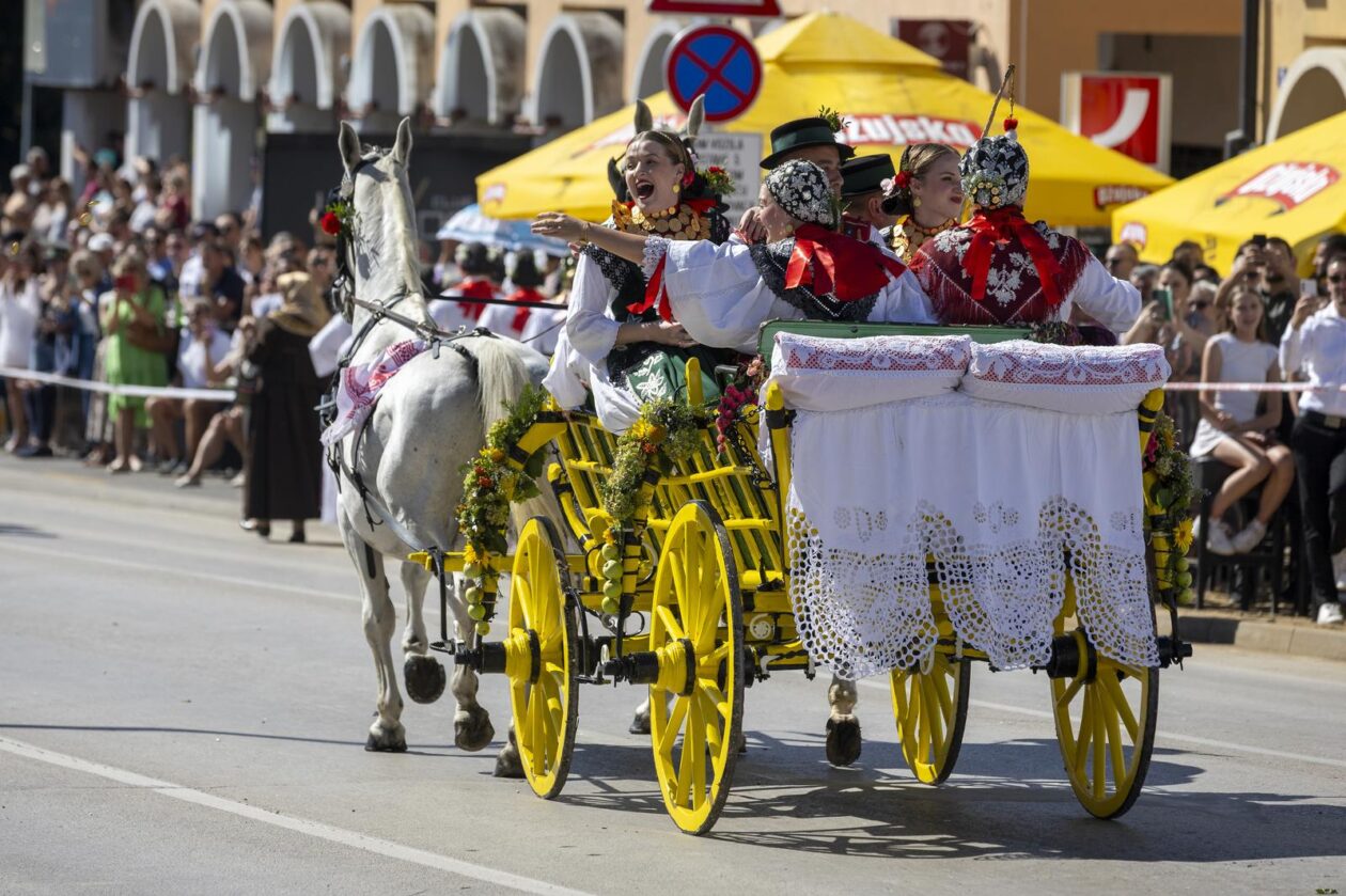 60. Vinkovačke jeseni – svačani mimohod 60. Vinkovačke jeseni – svačani mimohod