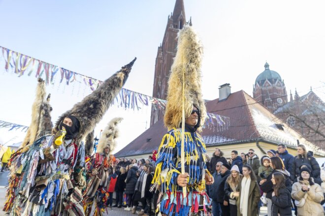 31. Đakovački bušari