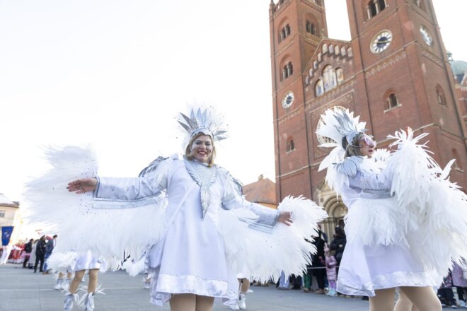 31. Đakovački bušari