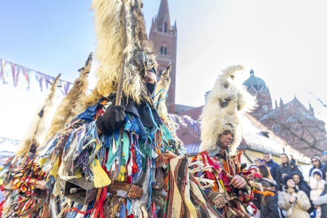 31. Đakovački bušari