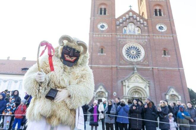31. Đakovački bušari