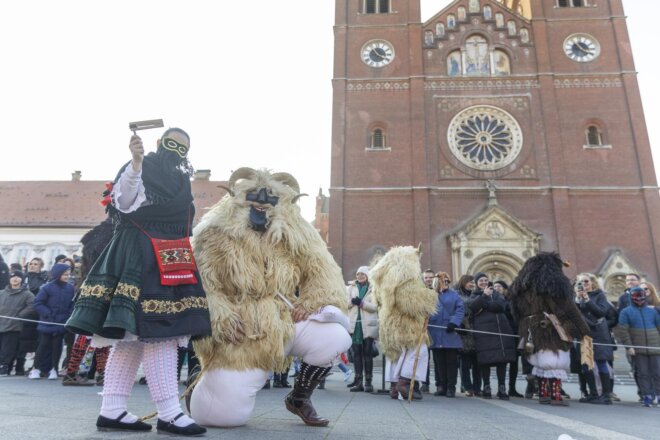 31. Đakovački bušari