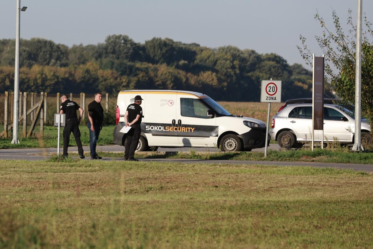 Kreće masovna eutanazija svinja na farmi u sokolovcu