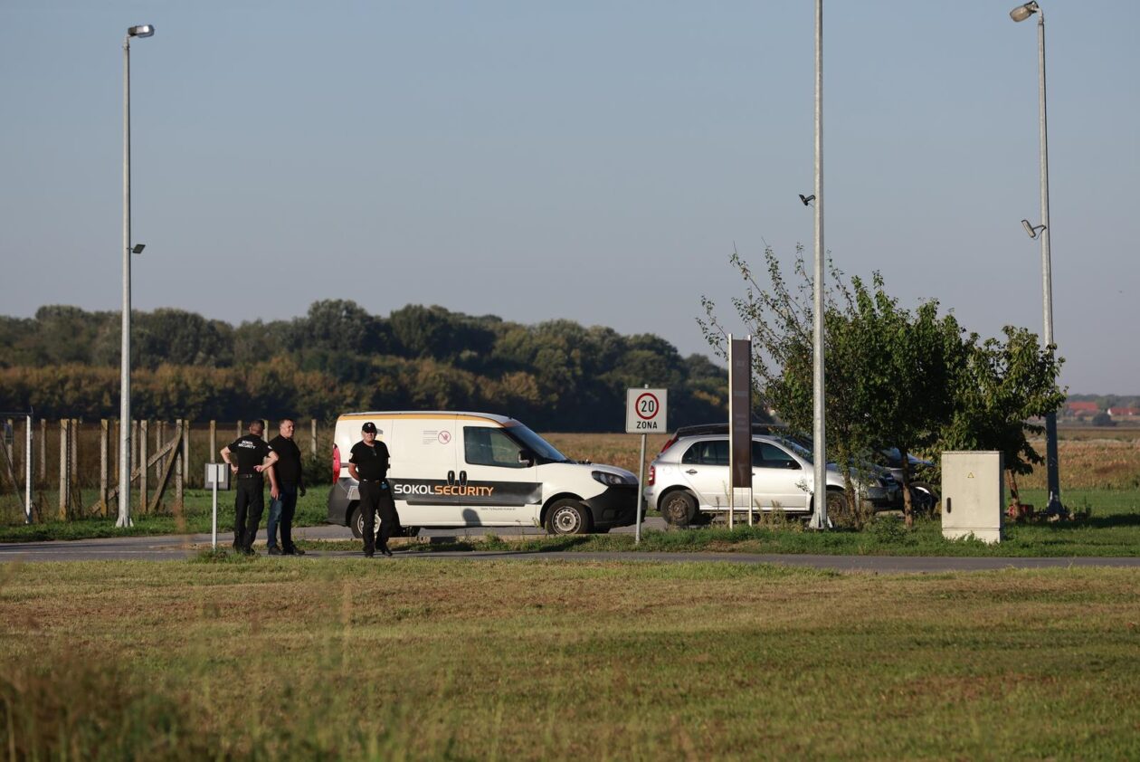 Kreće masovna eutanazija svinja na farmi u sokolovcu