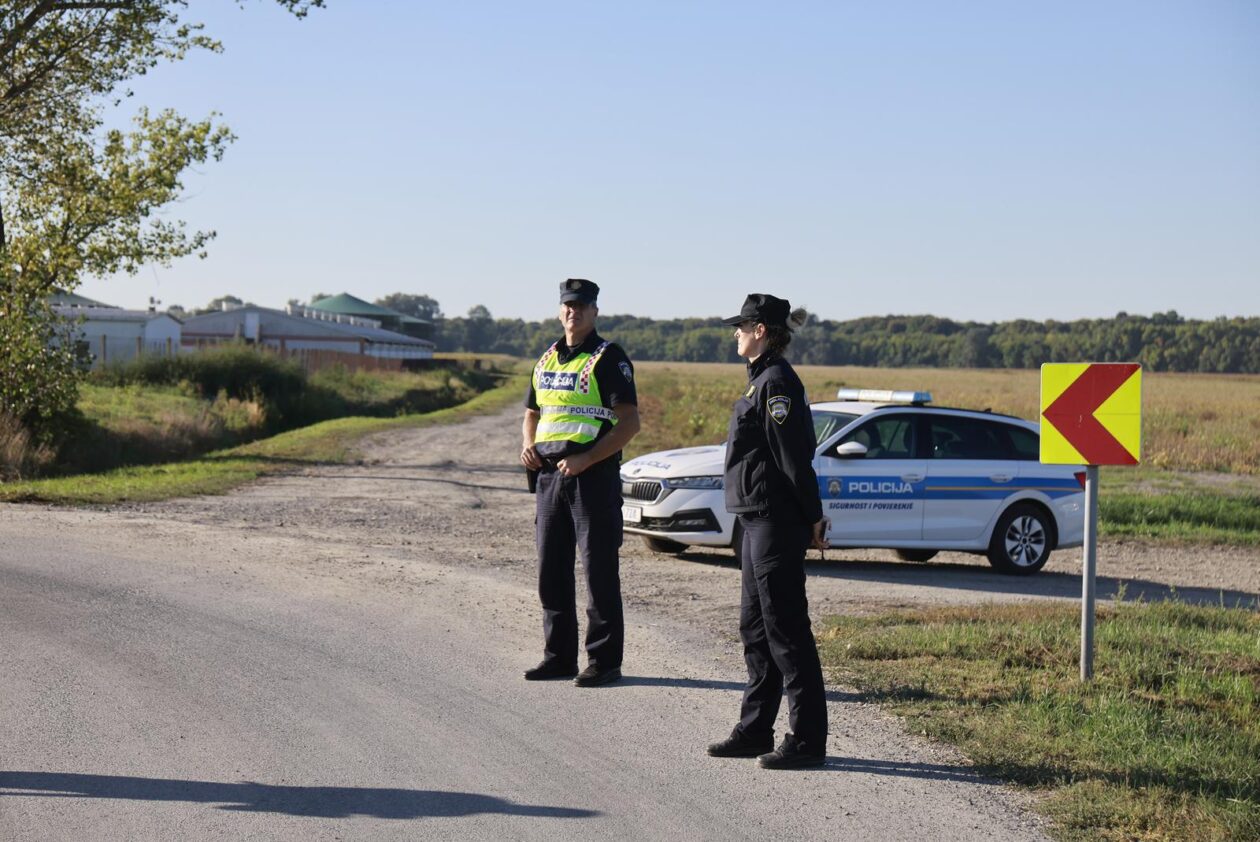 Kreće masovna eutanazija svinja na farmi u sokolovcu