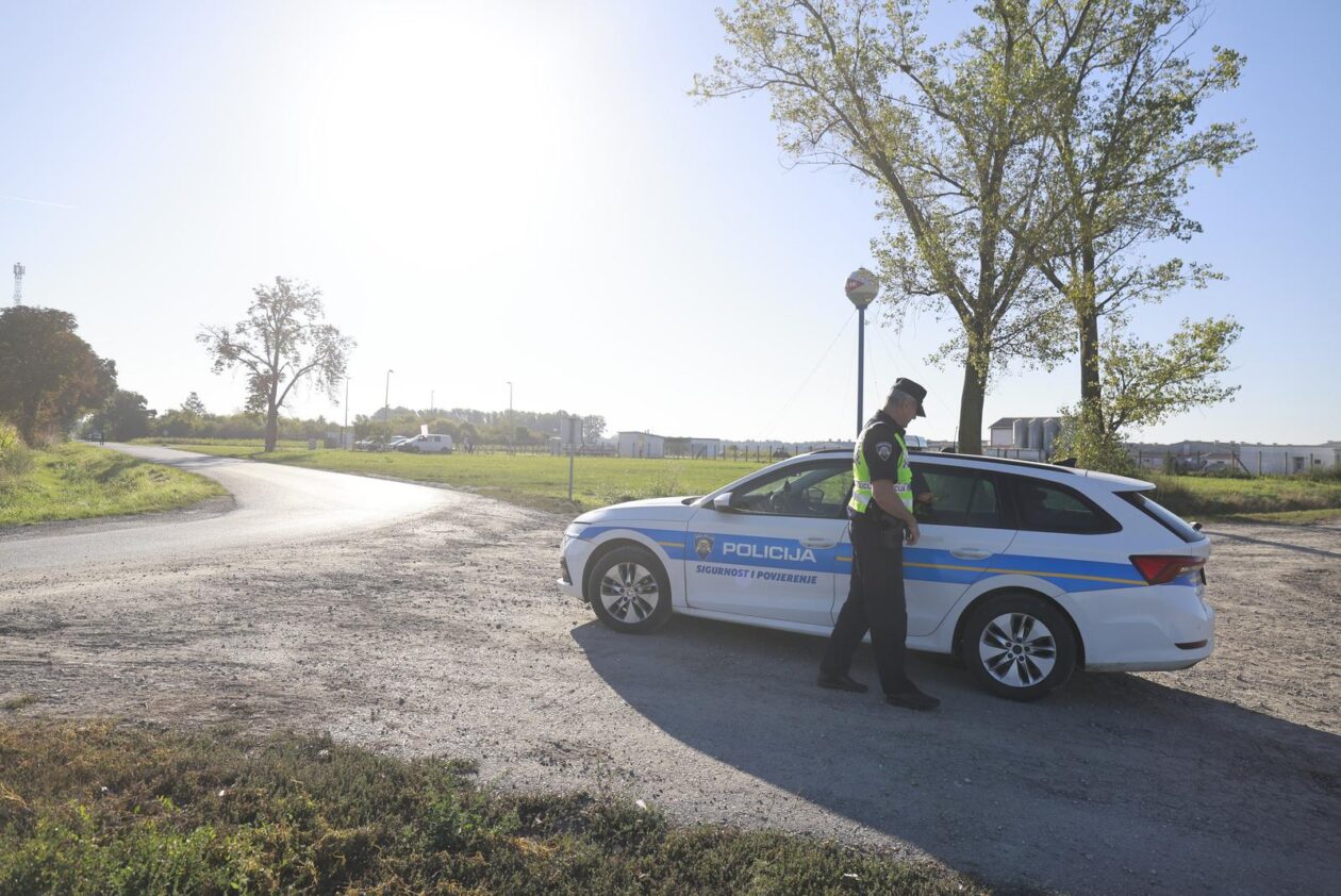 Kreće masovna eutanazija svinja na farmi u sokolovcu