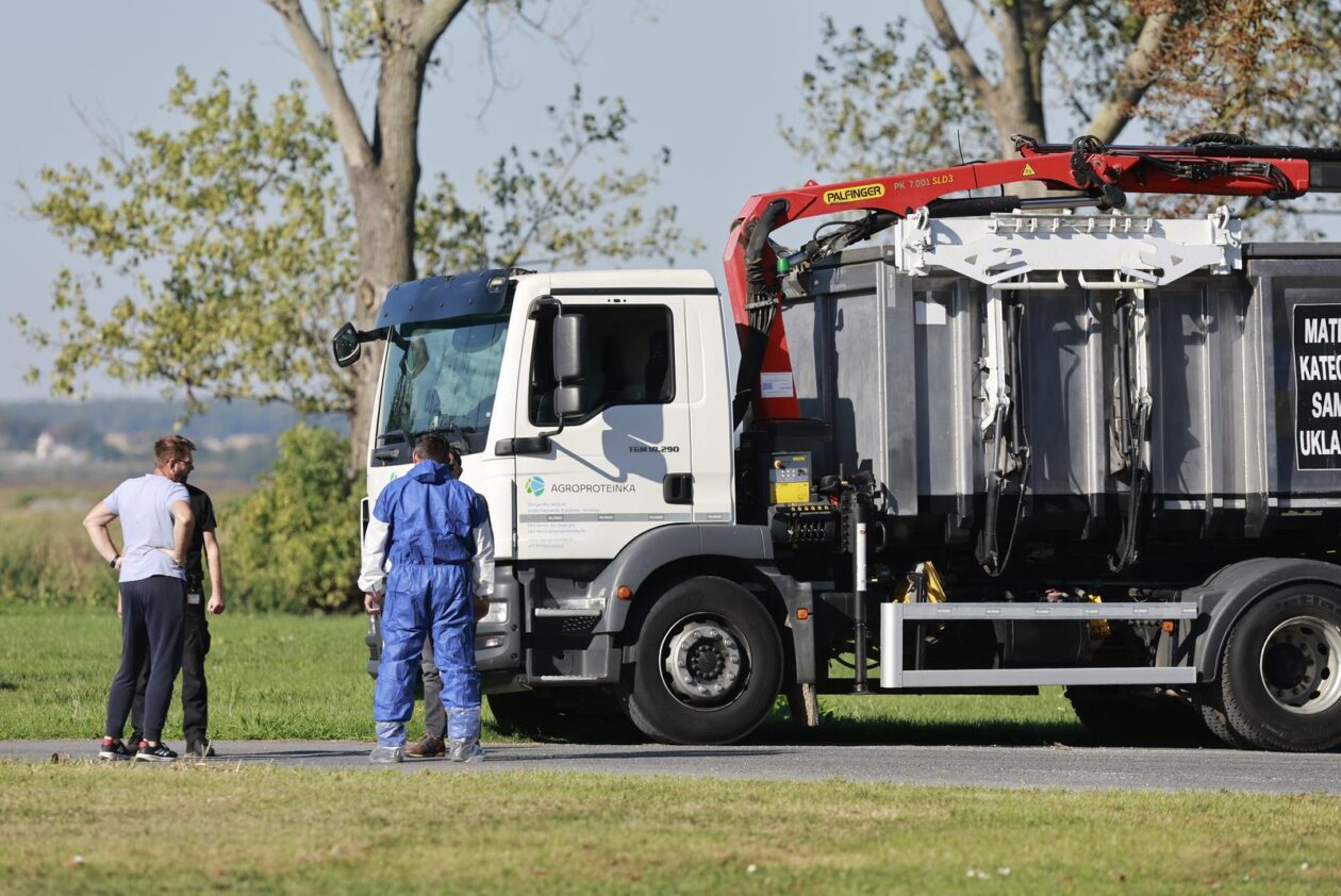 Kreće masovna eutanazija svinja na farmi u sokolovcu