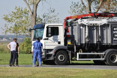 Kreće masovna eutanazija svinja na farmi u sokolovcu
