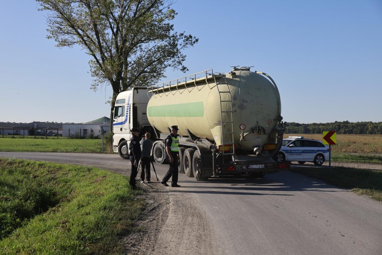 Kreće masovna eutanazija svinja na farmi u sokolovcu