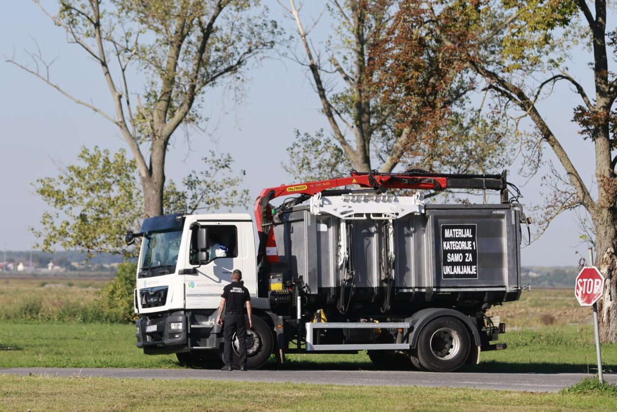 Kreće masovna eutanazija svinja na farmi u sokolovcu