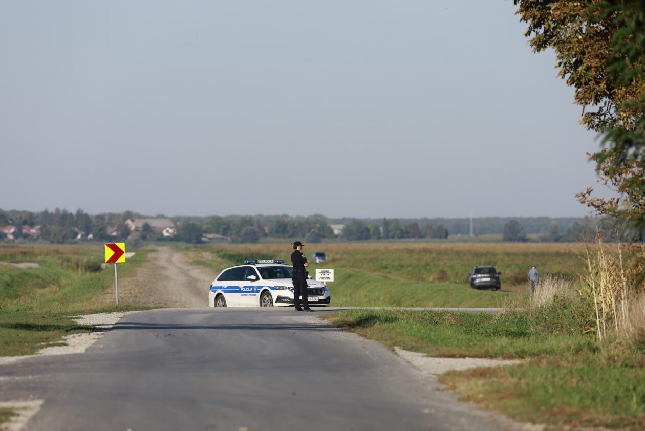 Kreće masovna eutanazija svinja na farmi u sokolovcu