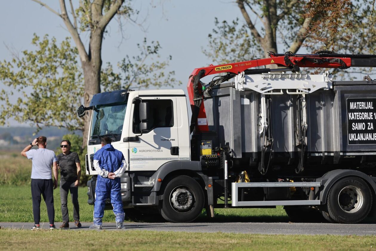 Kreće masovna eutanazija svinja na farmi u sokolovcu
