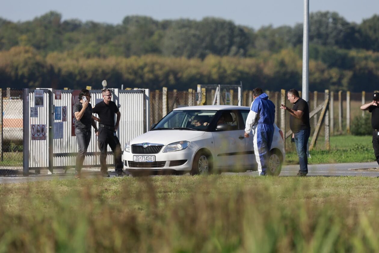 Kreće masovna eutanazija svinja na farmi u sokolovcu