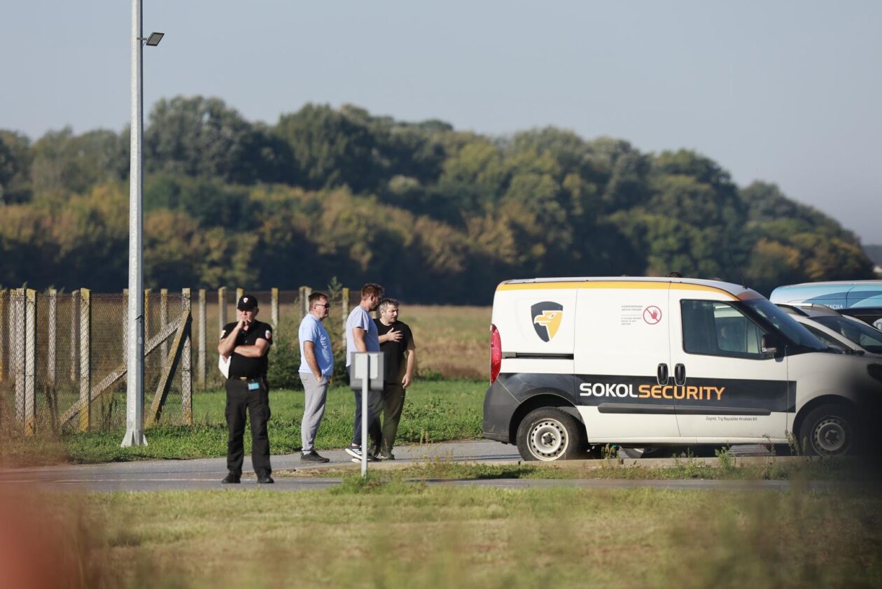 Kreće masovna eutanazija svinja na farmi u sokolovcu