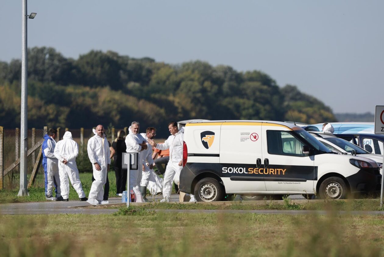 Kreće masovna eutanazija svinja na farmi u sokolovcu