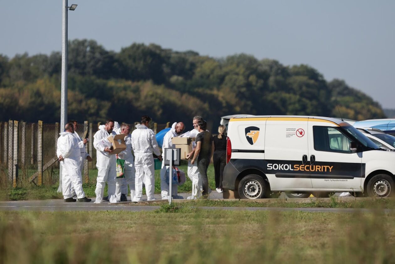 Kreće masovna eutanazija svinja na farmi u sokolovcu