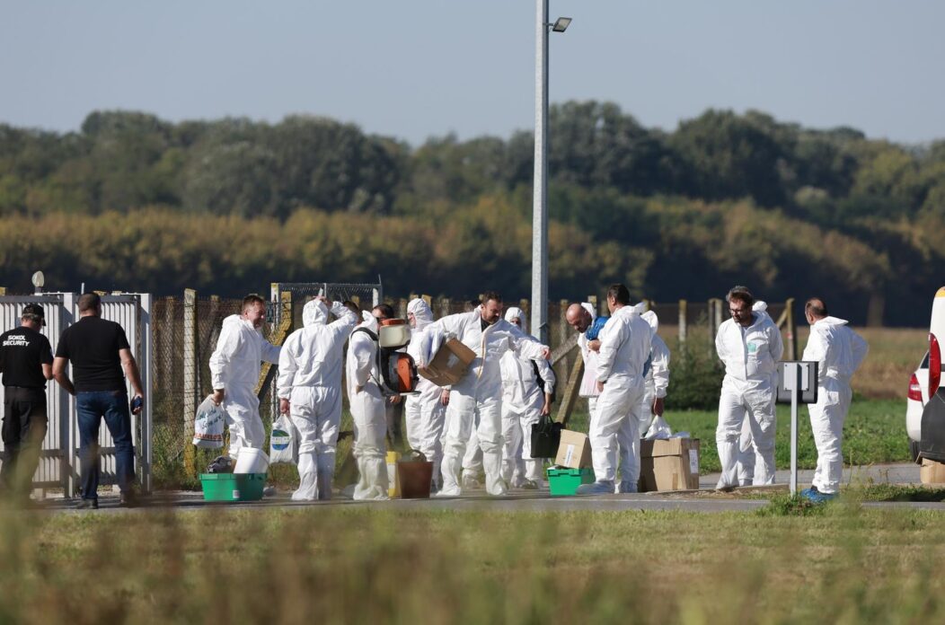 Kreće masovna eutanazija svinja na farmi u sokolovcu