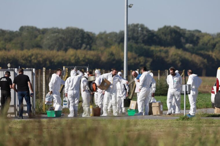 Kreće masovna eutanazija svinja na farmi u sokolovcu
