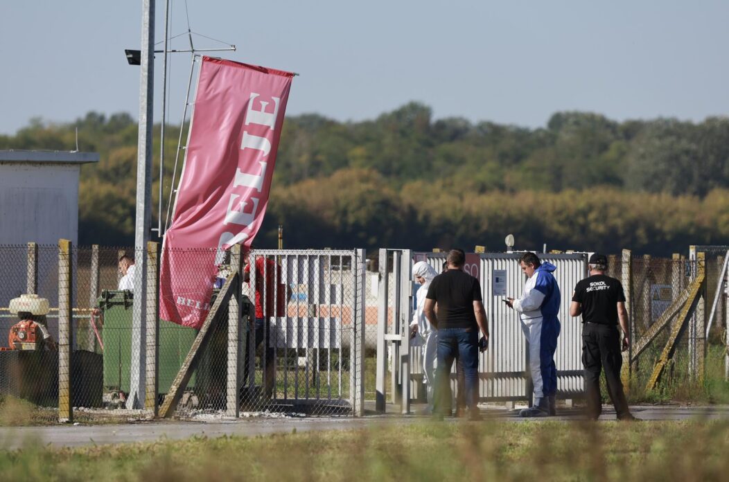 Kreće masovna eutanazija svinja na farmi u sokolovcu