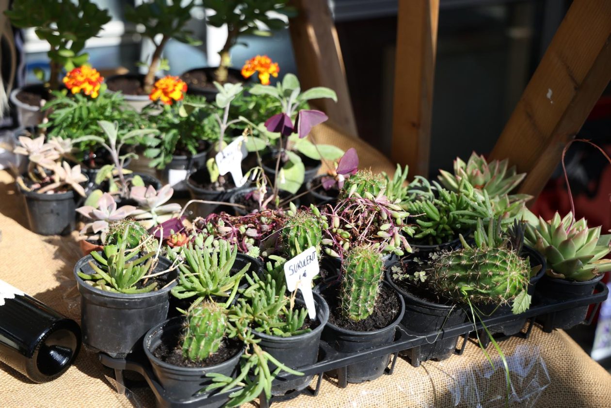 Osijek: Proljetni sajam učenika Poljoprivredne i Veterinarske škole