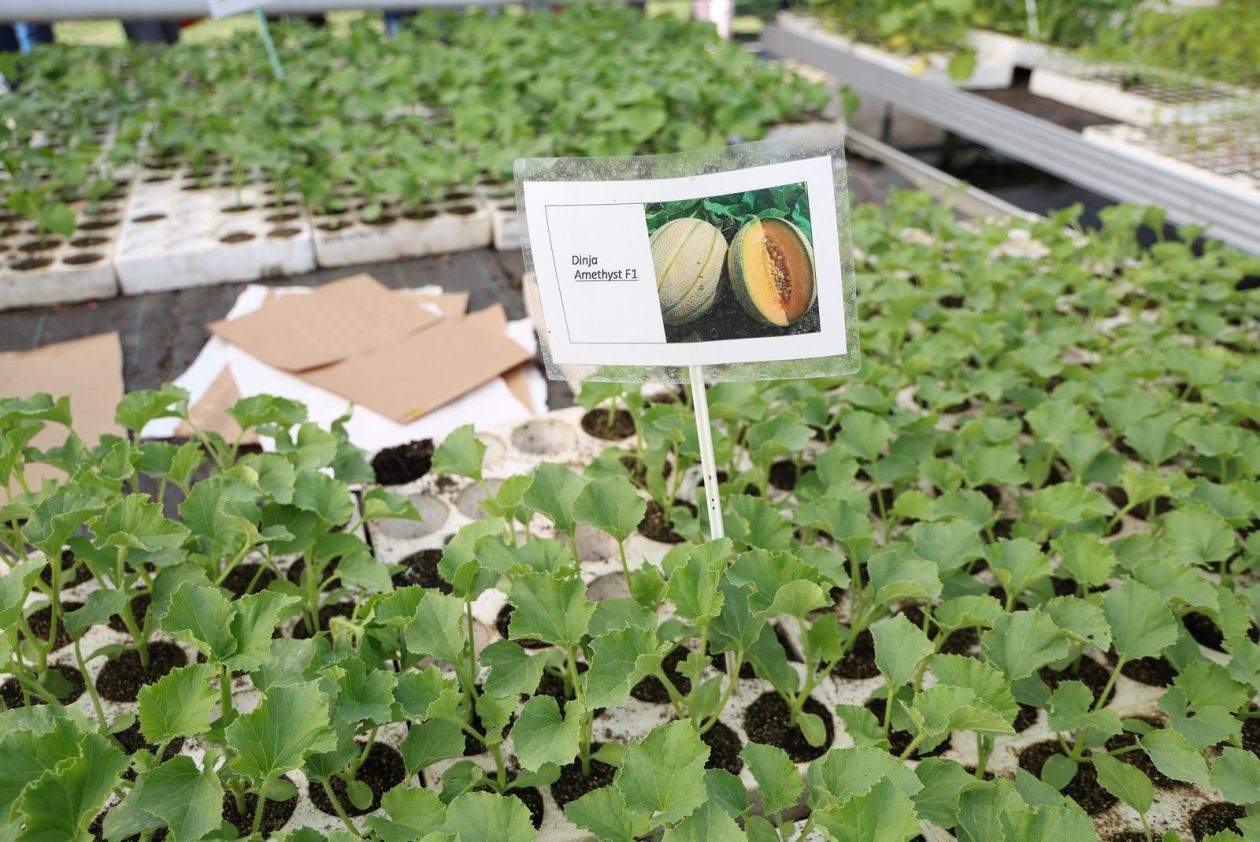 Osijek: Proljetni sajam učenika Poljoprivredne i Veterinarske škole