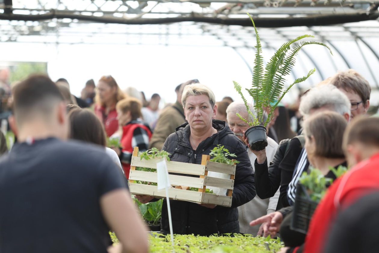 Osijek: Proljetni sajam učenika Poljoprivredne i Veterinarske škole