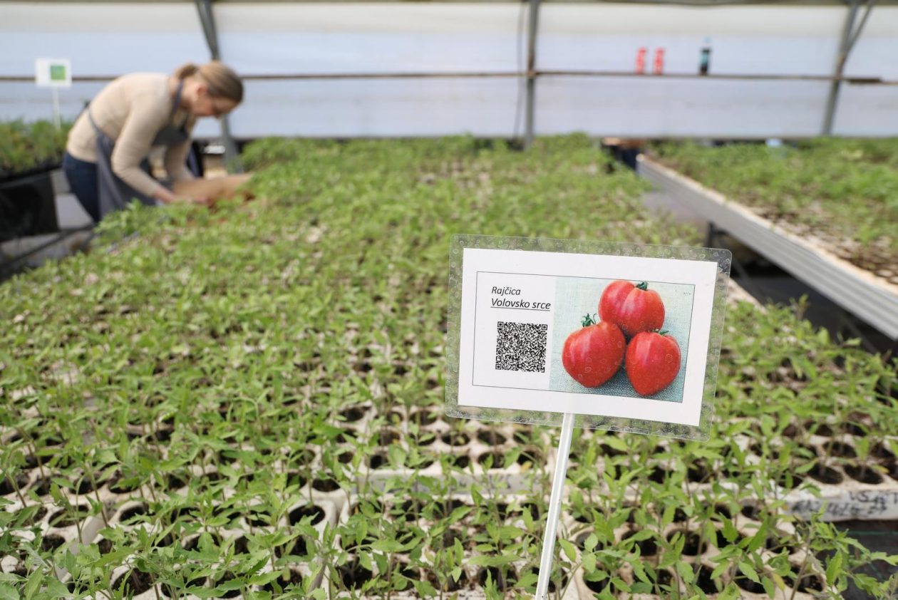 Osijek: Proljetni sajam učenika Poljoprivredne i Veterinarske škole