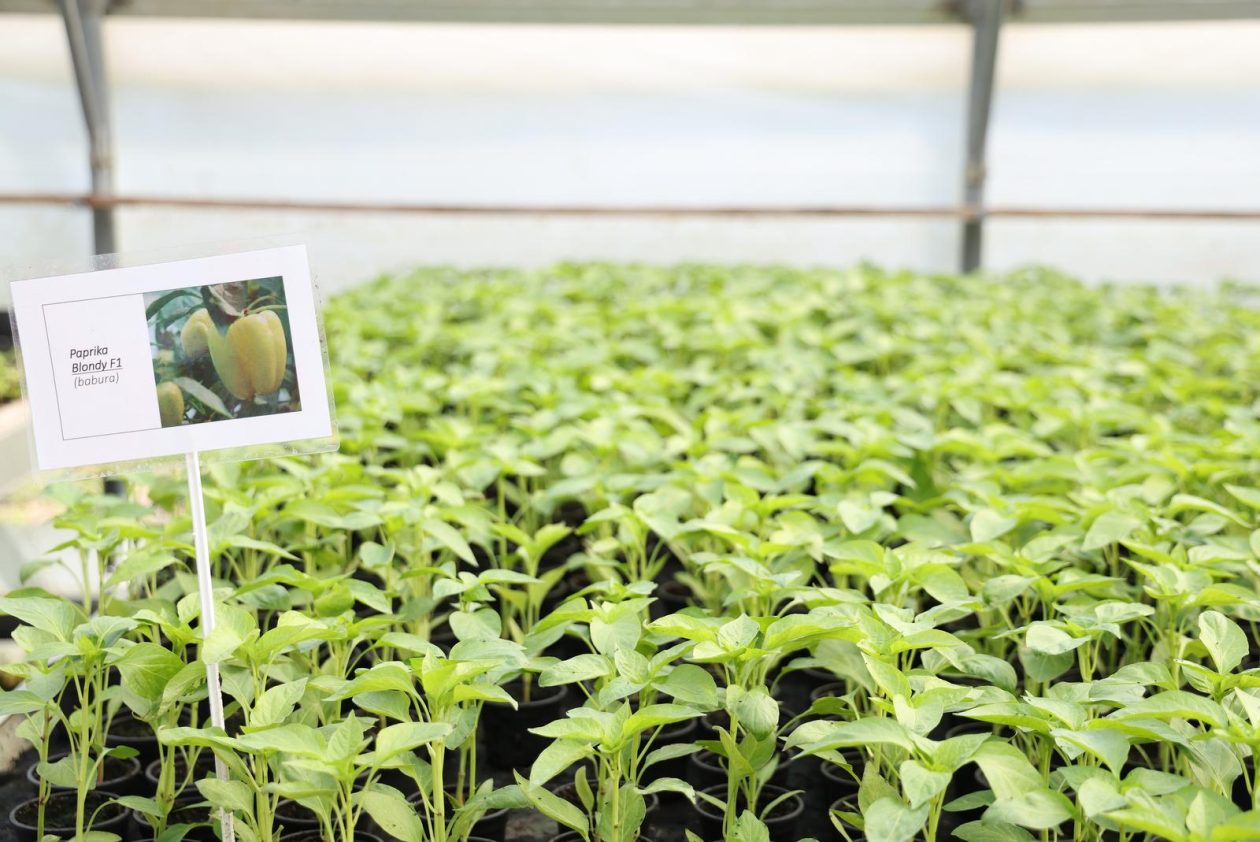 Osijek: Proljetni sajam učenika Poljoprivredne i Veterinarske škole