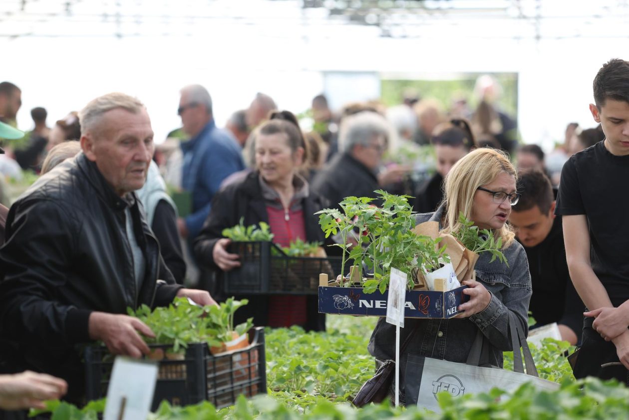Osijek: Proljetni sajam učenika Poljoprivredne i Veterinarske škole