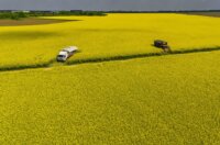 Pogled iz zraka na polja uljane repice kod Osijeka