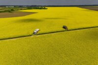 Pogled iz zraka na polja uljane repice kod Osijeka