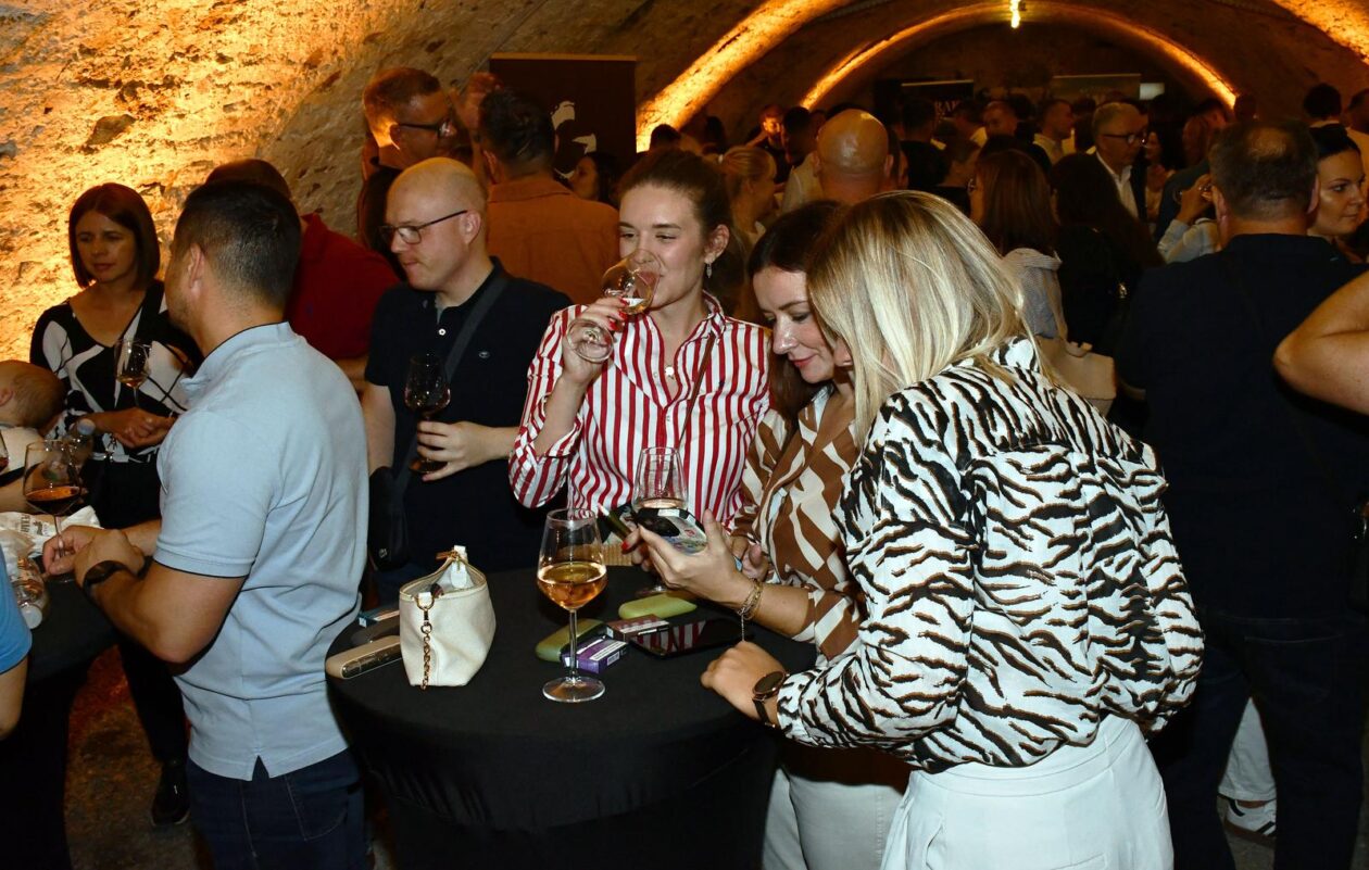 Slavonski Brod: Završna večer Festivala vina, umjetnosti i glazbe Vino u Tvrđavi Brod