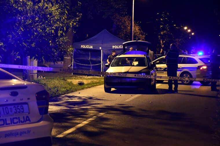 šušnjevci ubojstvo očevid