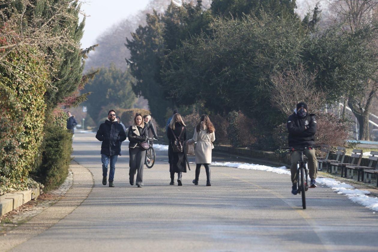 PXL_240126_145267867 PXL_240126_145267867