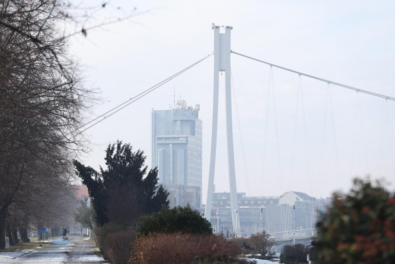 PXL_240126_145267868 PXL_240126_145267868