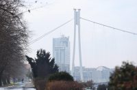 PXL_240126_145267868 PXL_240126_145267868