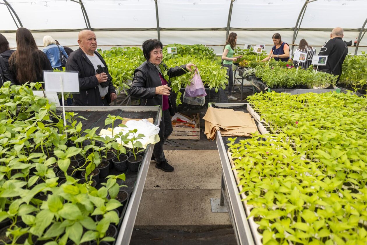 Osijek: Održan treći po redu “Proljetni sajam” Poljoprivredne i veterinarske škole Osijek