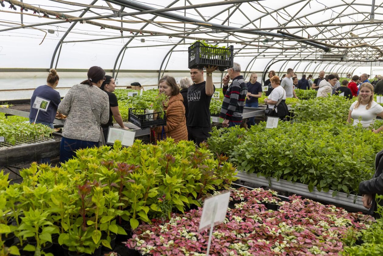Osijek: Održan treći po redu “Proljetni sajam” Poljoprivredne i veterinarske škole Osijek