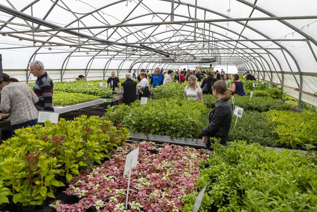 Osijek: Održan treći po redu “Proljetni sajam” Poljoprivredne i veterinarske škole Osijek